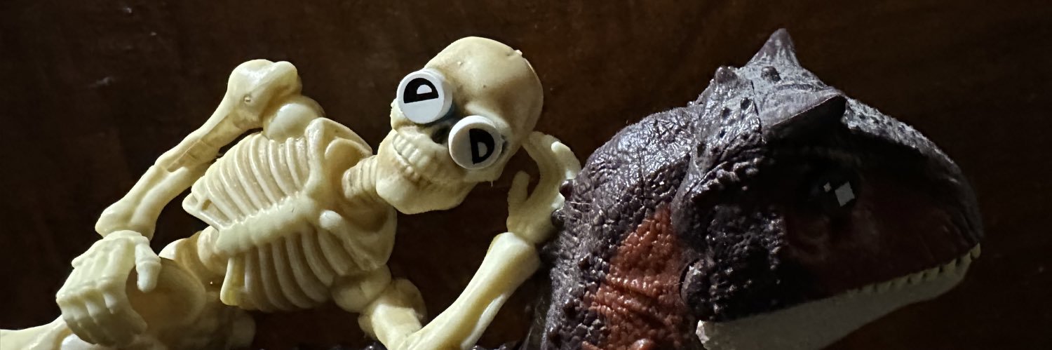 the_collector_of_different_toy's banner
