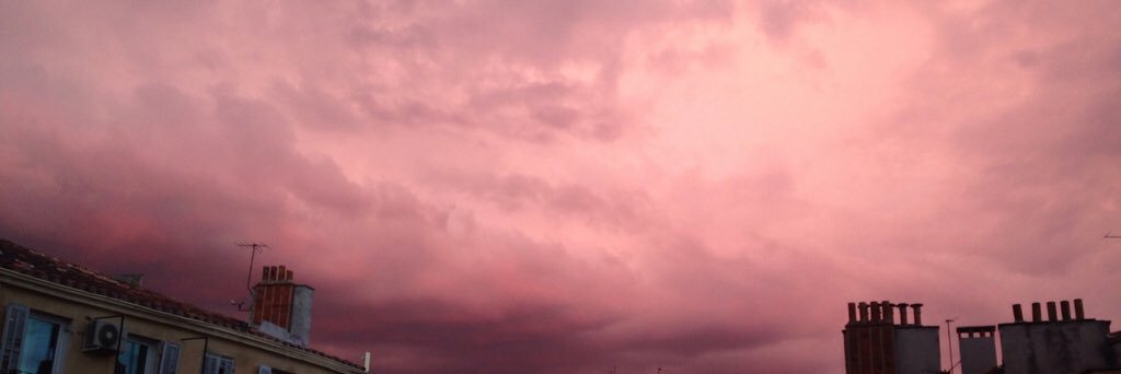 nicolefickle's profile banner image