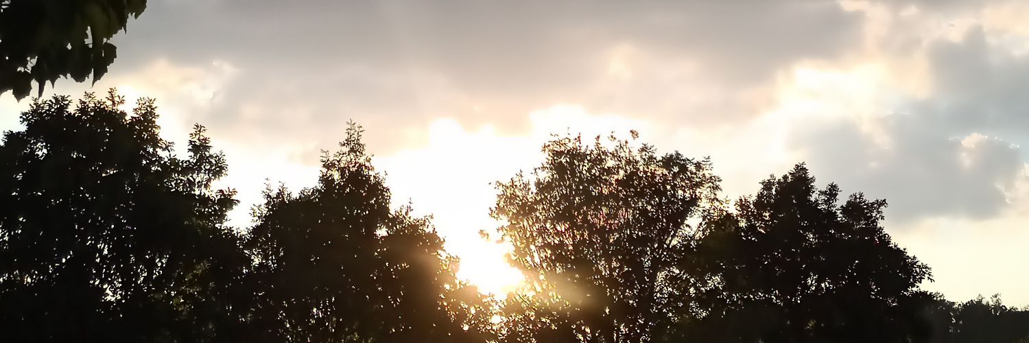 𐌀𐌍𐌍𐌀𐌊𐌀 banner