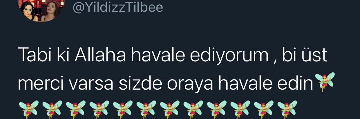 Sinem banner