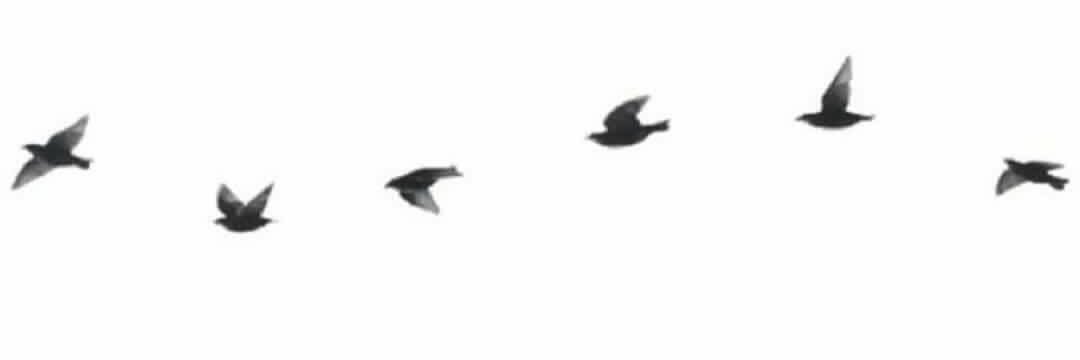 Maurethjimenez's profile banner image