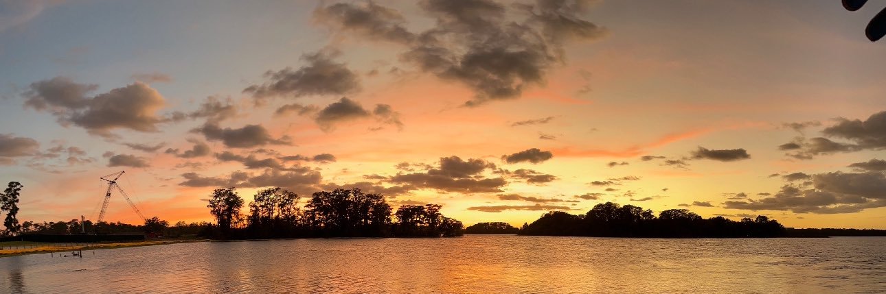 WDWDVC🌴's banner