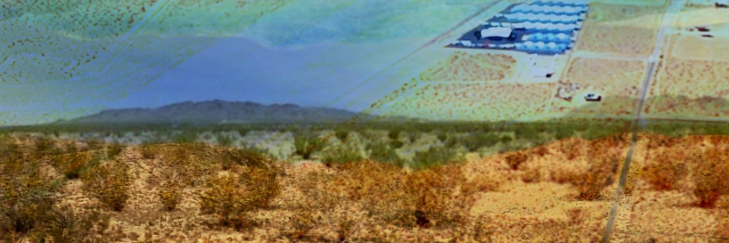 👽🔪's banner