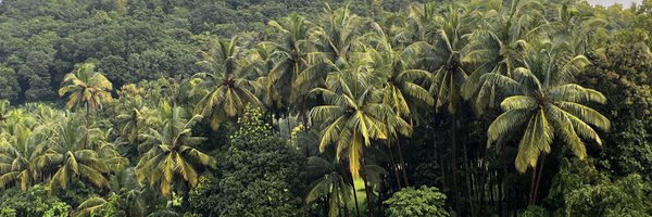 tanayasingh Profile Banner