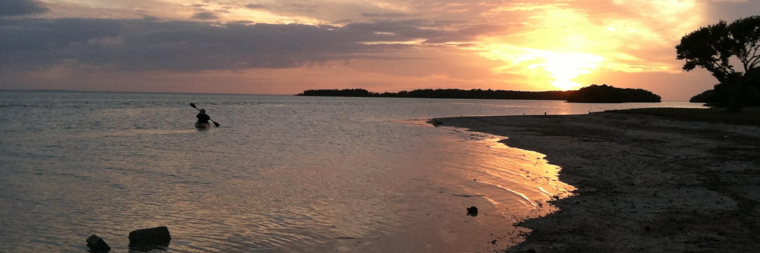 Steve Newborn banner