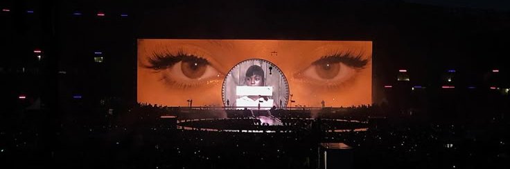 ryzim banner