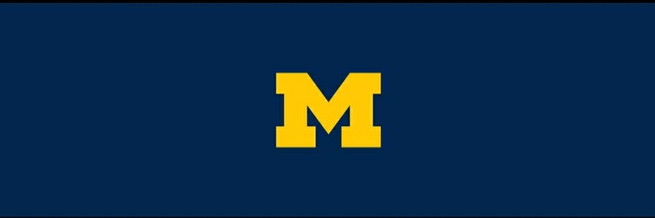 DerangedDonkey's profile banner image