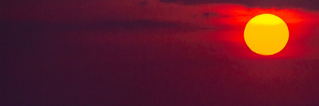BellaMasanya's profile banner image