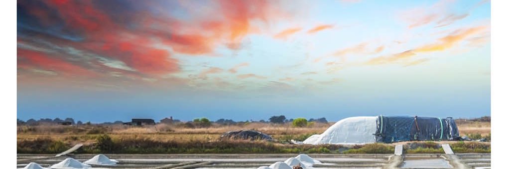 Jean-Noël Penichon banner