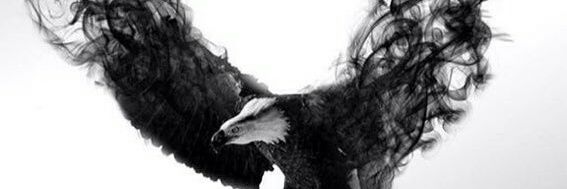 _Birkan_'s profile banner image