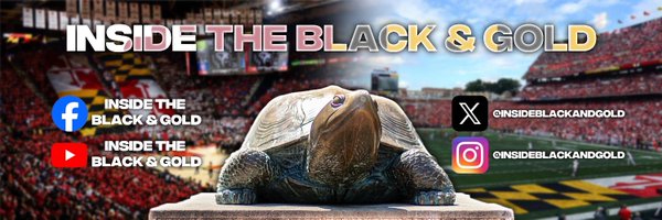 ghafirtheturtle Profile Banner