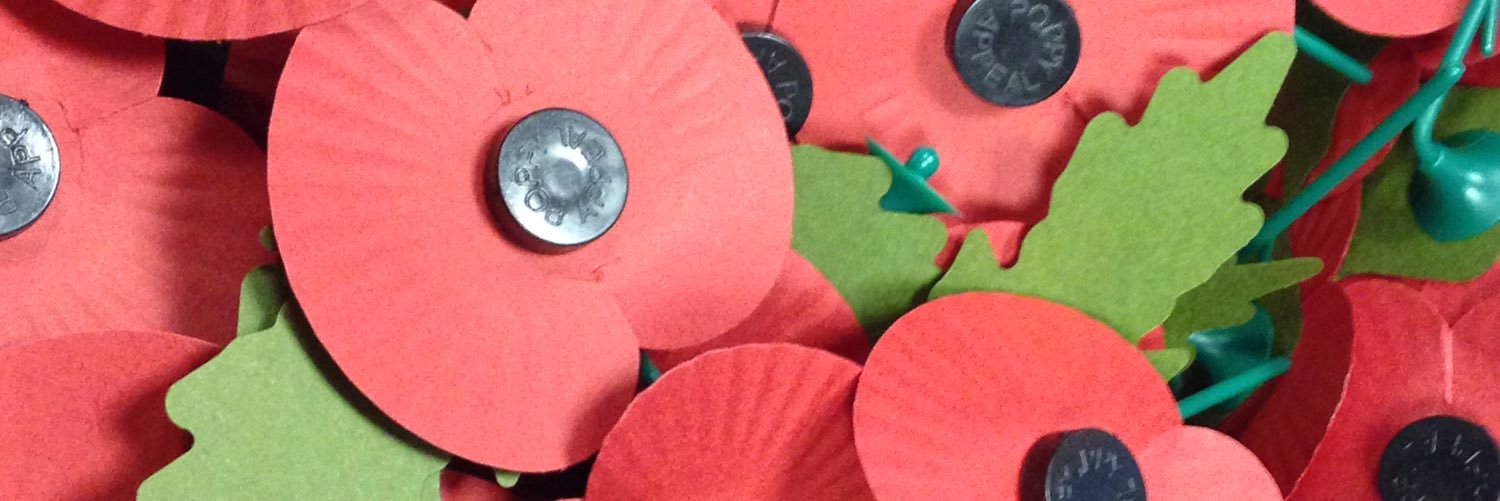 254 (Aberdare) Sqn banner