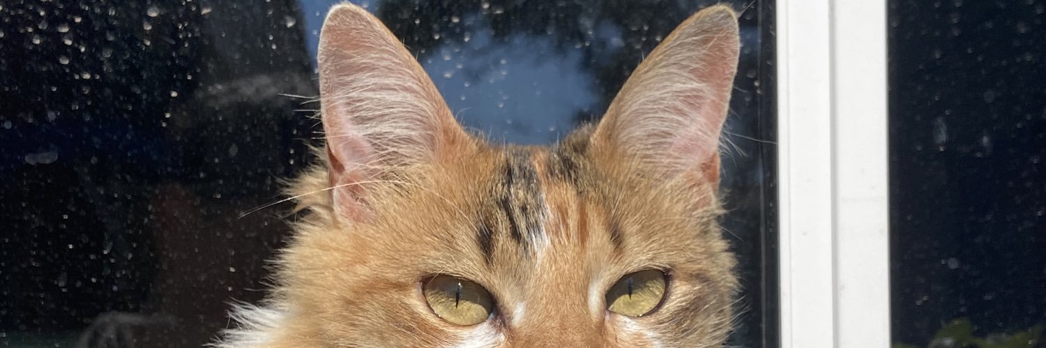 MigueeDNardo's profile banner image