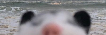 SoooooperSam's profile banner image