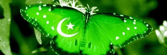 MahfoozHayat's profile banner image