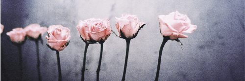 grlsnotgrey's profile banner image