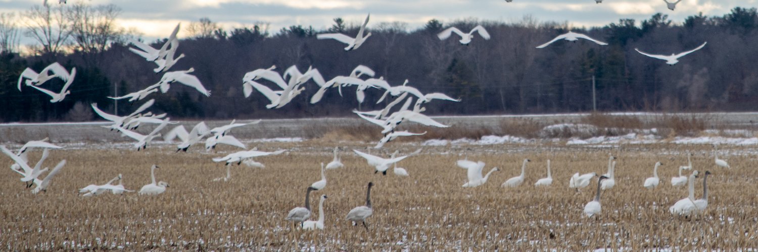 Exeter Lakeshore Times-Advance banner