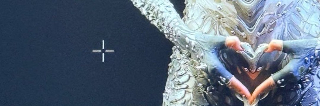 Colorcolor ⏳ banner