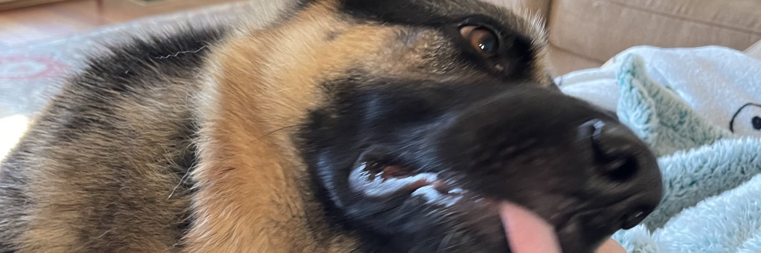 dunkin’Scout banner