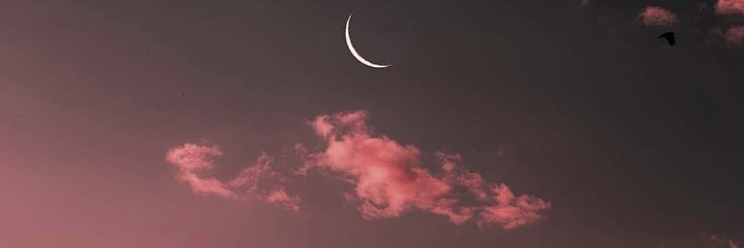 BrisFernandez_'s profile banner image