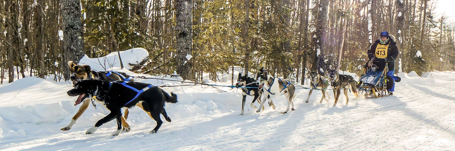 Melissa Mendelson banner