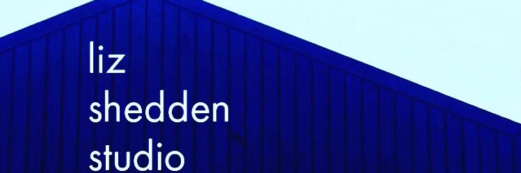liz shedden banner