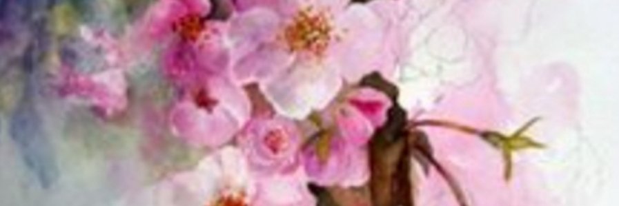 5_amnah's profile banner image