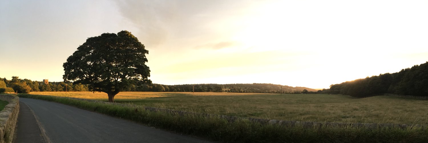 NQheadT's profile banner image