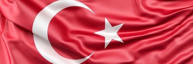 _nesecan's profile banner image