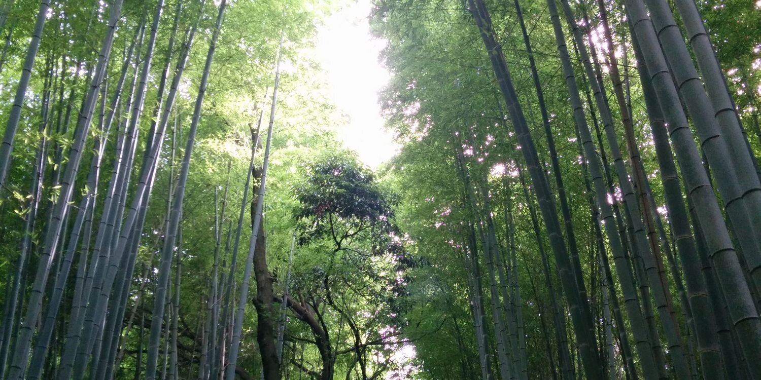 Elaine Chau 鄒沛明 banner