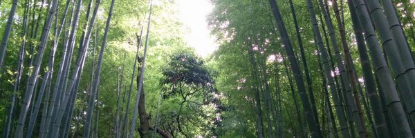 echaudaily Profile Banner