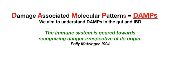 DampsGi Profile Banner
