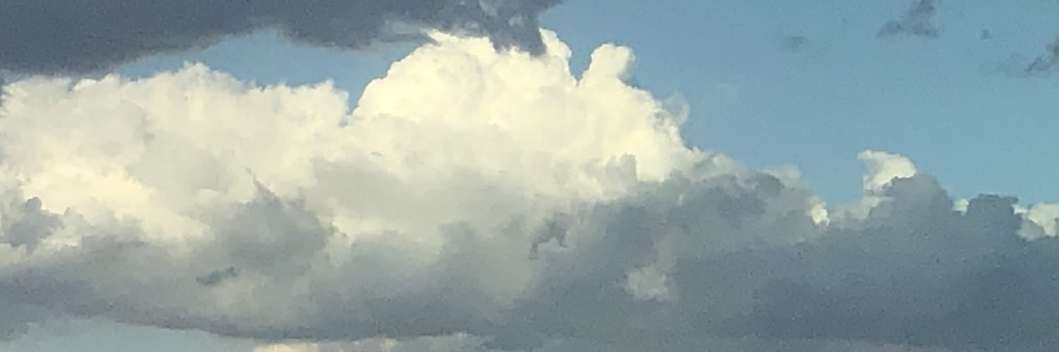 lorraineschultz's profile banner image