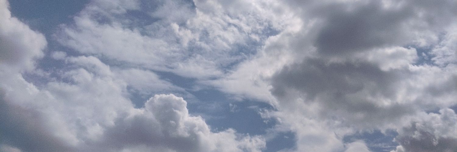 elearnguy's profile banner image