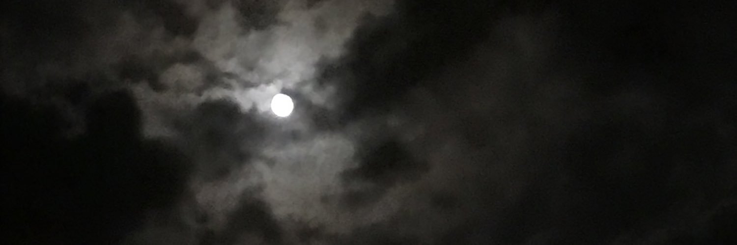 peysernino's profile banner image