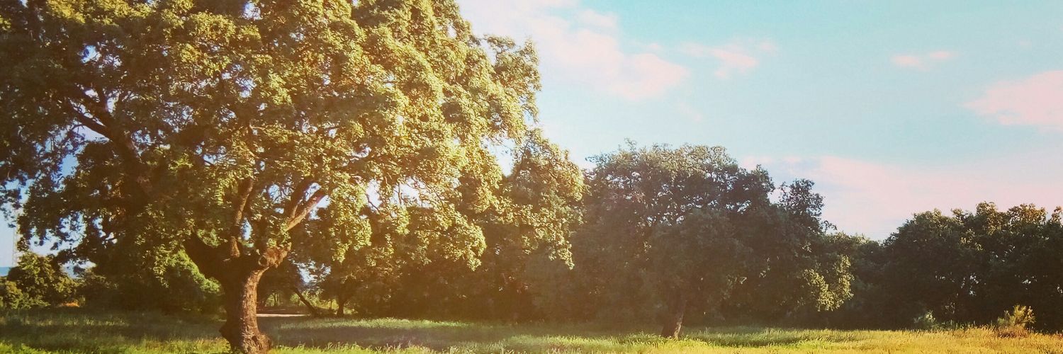anadg86's profile banner image