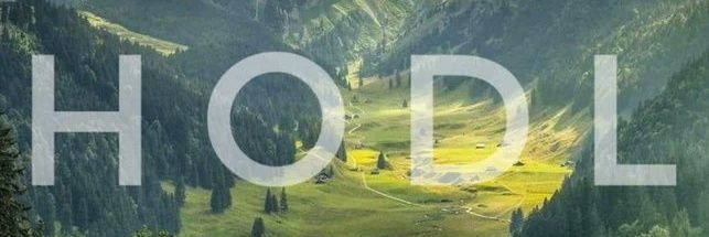 $Crypto Engineer banner