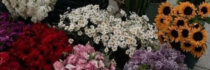 Ranasamer2862's profile banner image