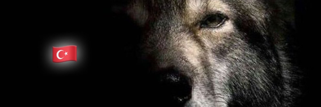 hatunnurr's profile banner image