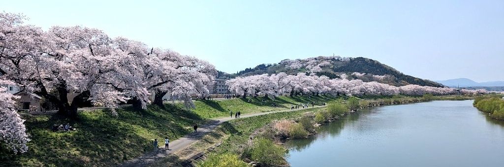 うめ子_子梅はママの宝物👶🎀 banner