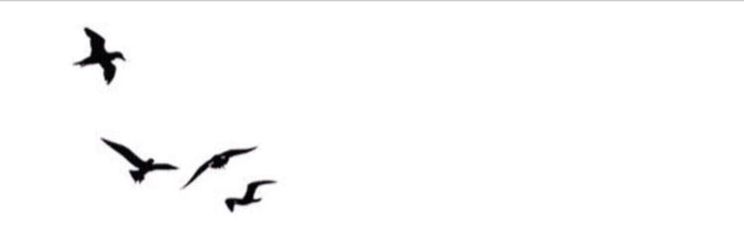 a5fek_j's profile banner image