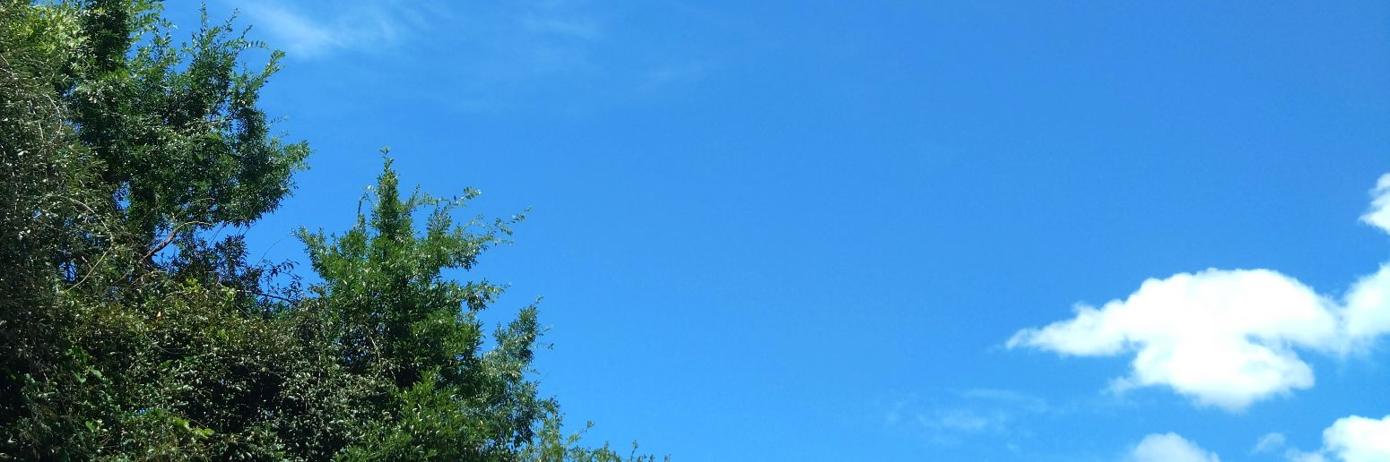 やす's banner