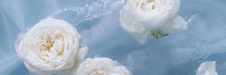 Beth banner