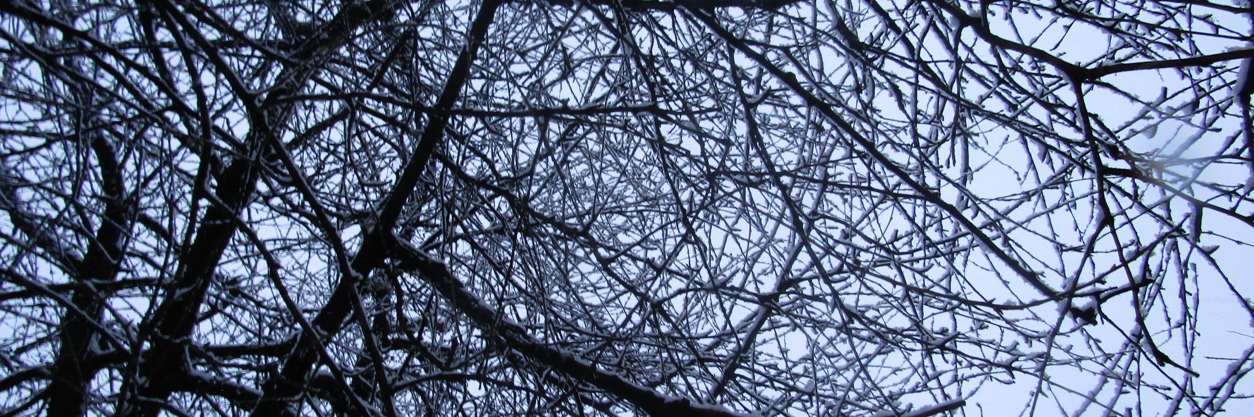 BingoLittle75's profile banner image