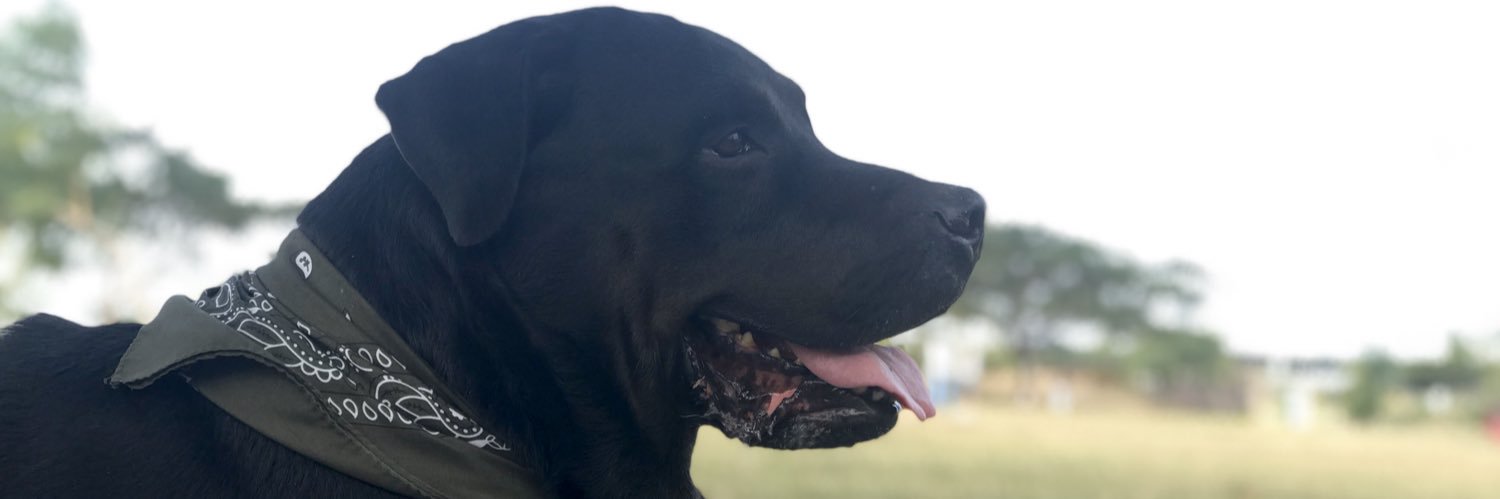 BethRuiz6's profile banner image