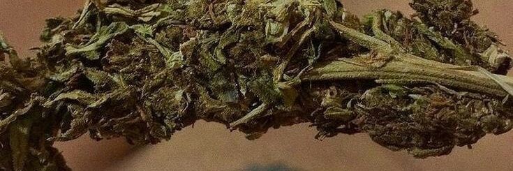 Tchowley's profile banner image