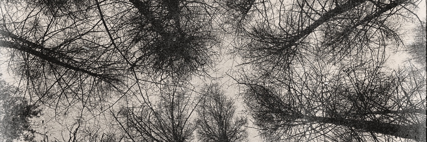 Dr Zoe Jeffery banner