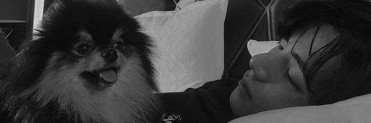 ً's banner