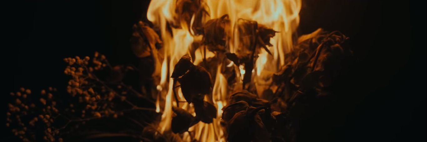 ThisIsHachii's profile banner image