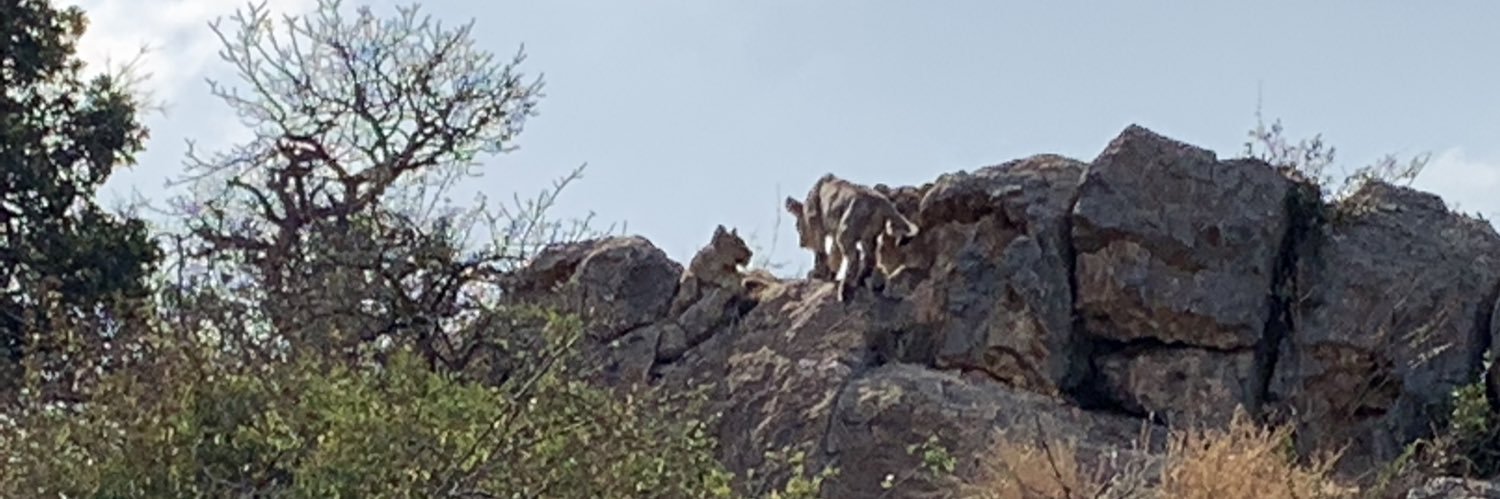 Brook K. Baker banner